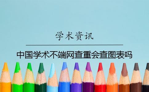 中国学术不端网查重会查图表吗？