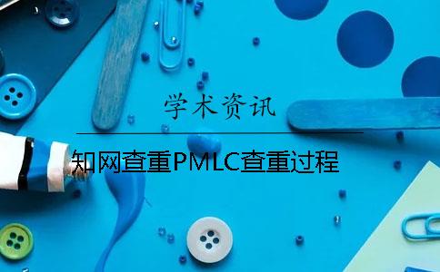 知网查重PMLC查重过程