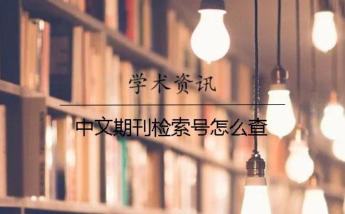 中文期刊检索号怎么查