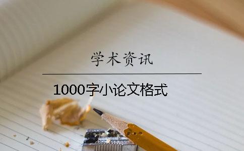 1000字小论文格式