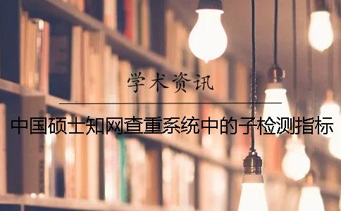 中国硕士知网查重系统中的子检测指标关于段的定义及其指标